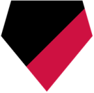 Houston Rockets